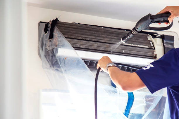 Best Air Duct Mold Removal  in Remgton, IN